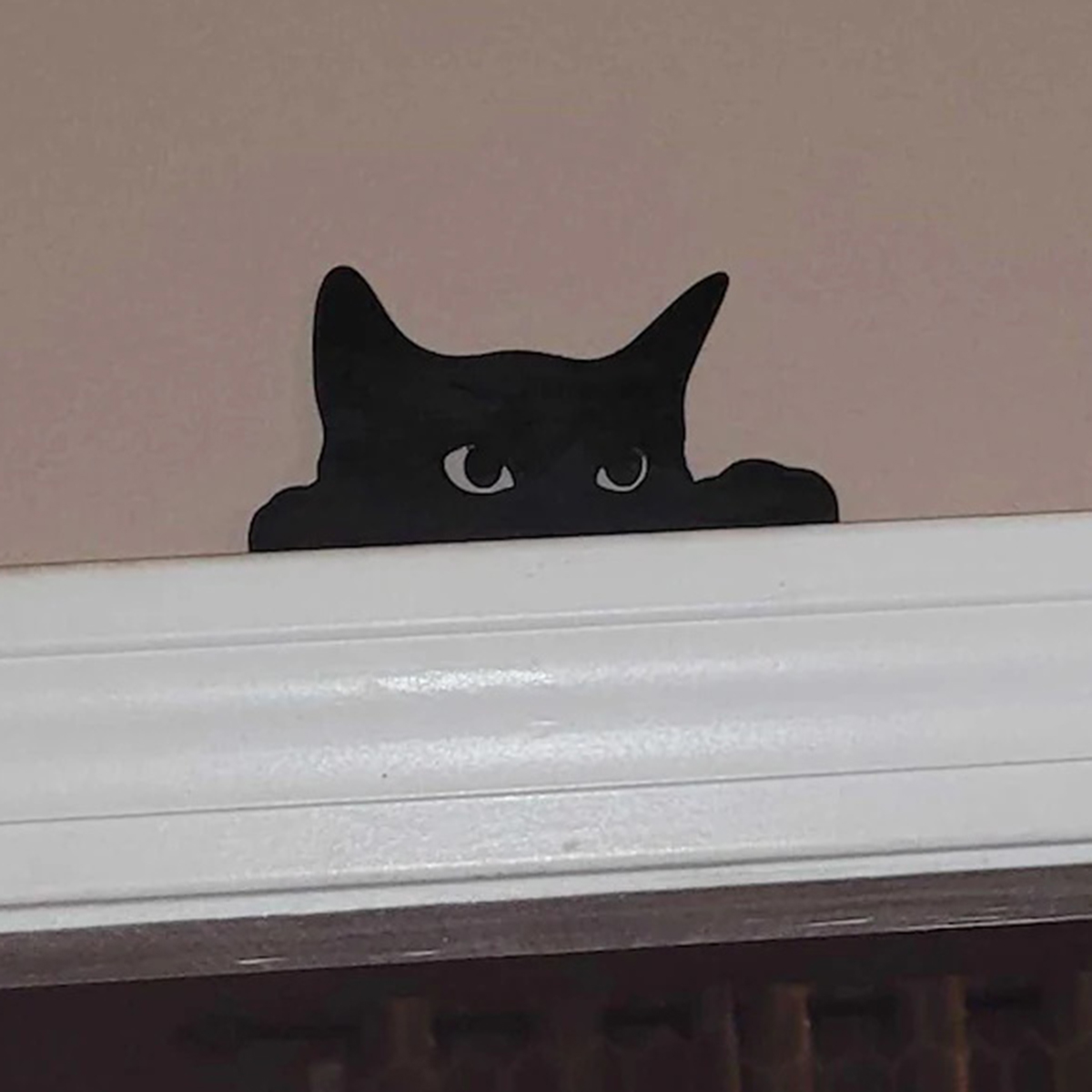 1 Pc Cat looking up Door Toppe - Home Decor Kolkata review and price