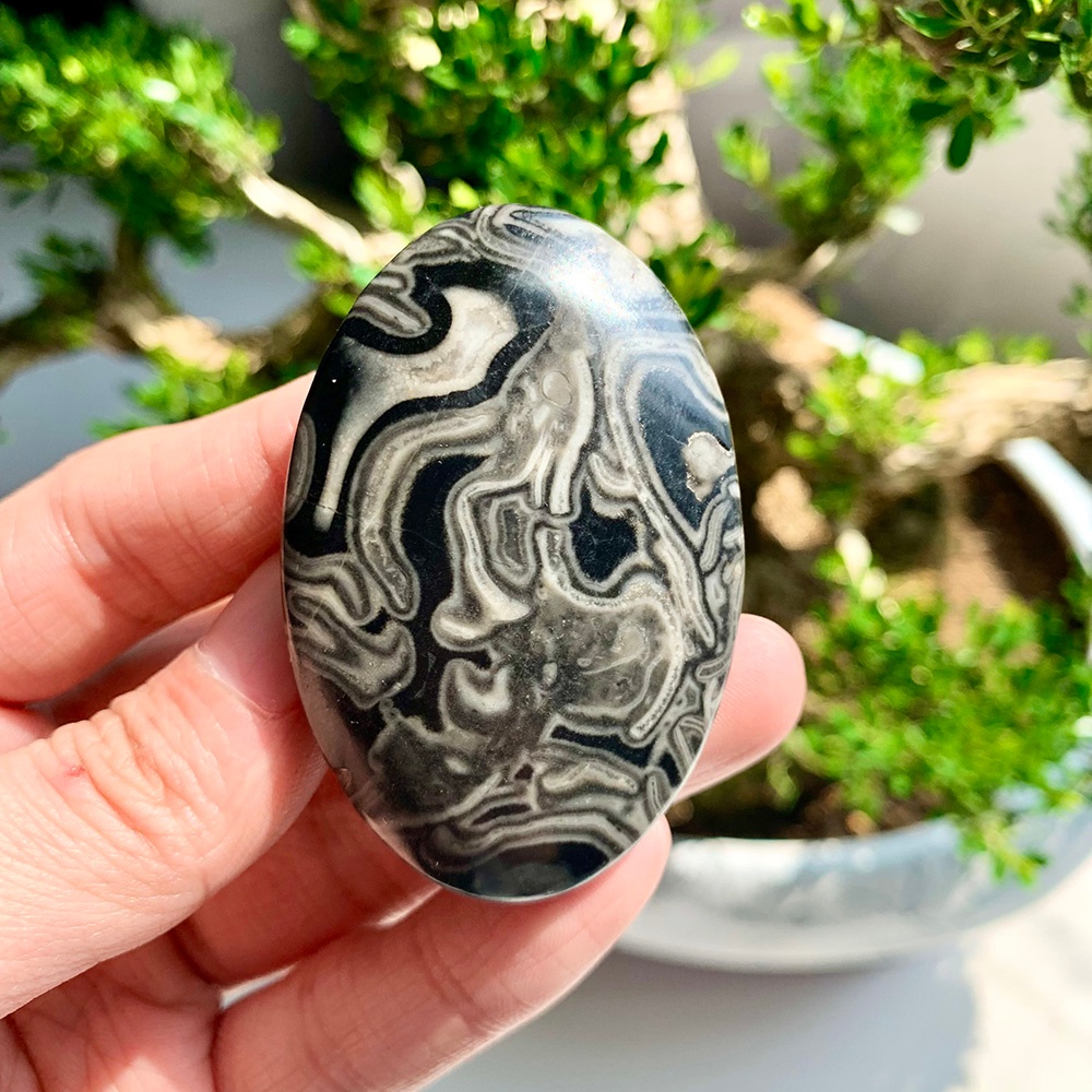 Wholesale Black Crazy Agate Pl - Home Decor Brand review and price