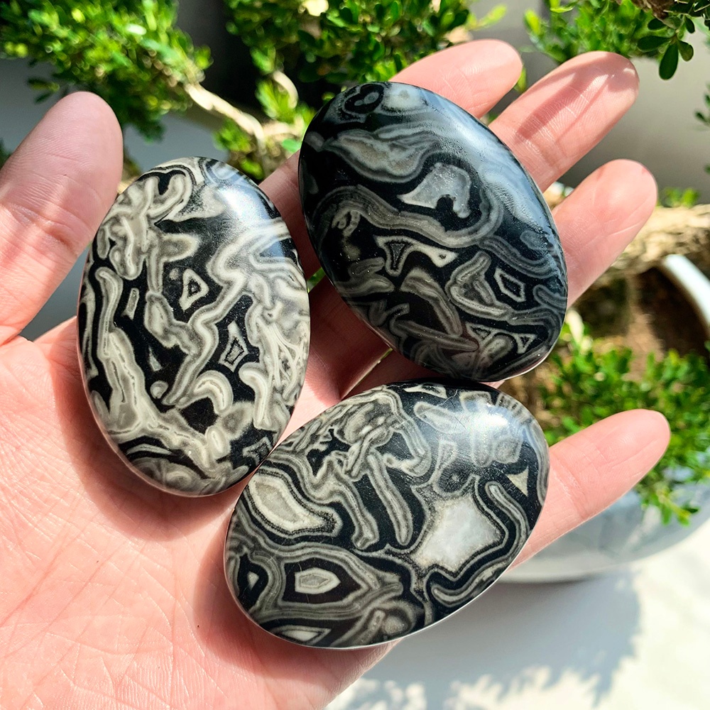 Wholesale Black Crazy Agate Pl - Home Decor Brand review and price