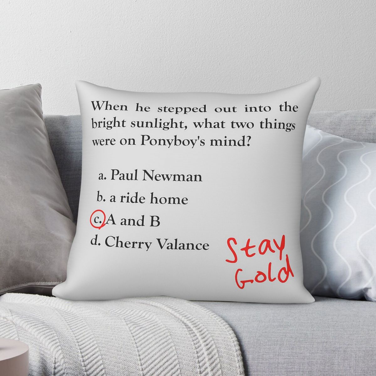 Outsiders Ponyboy Quiz Questio - Home Decor Quiz Free review and price