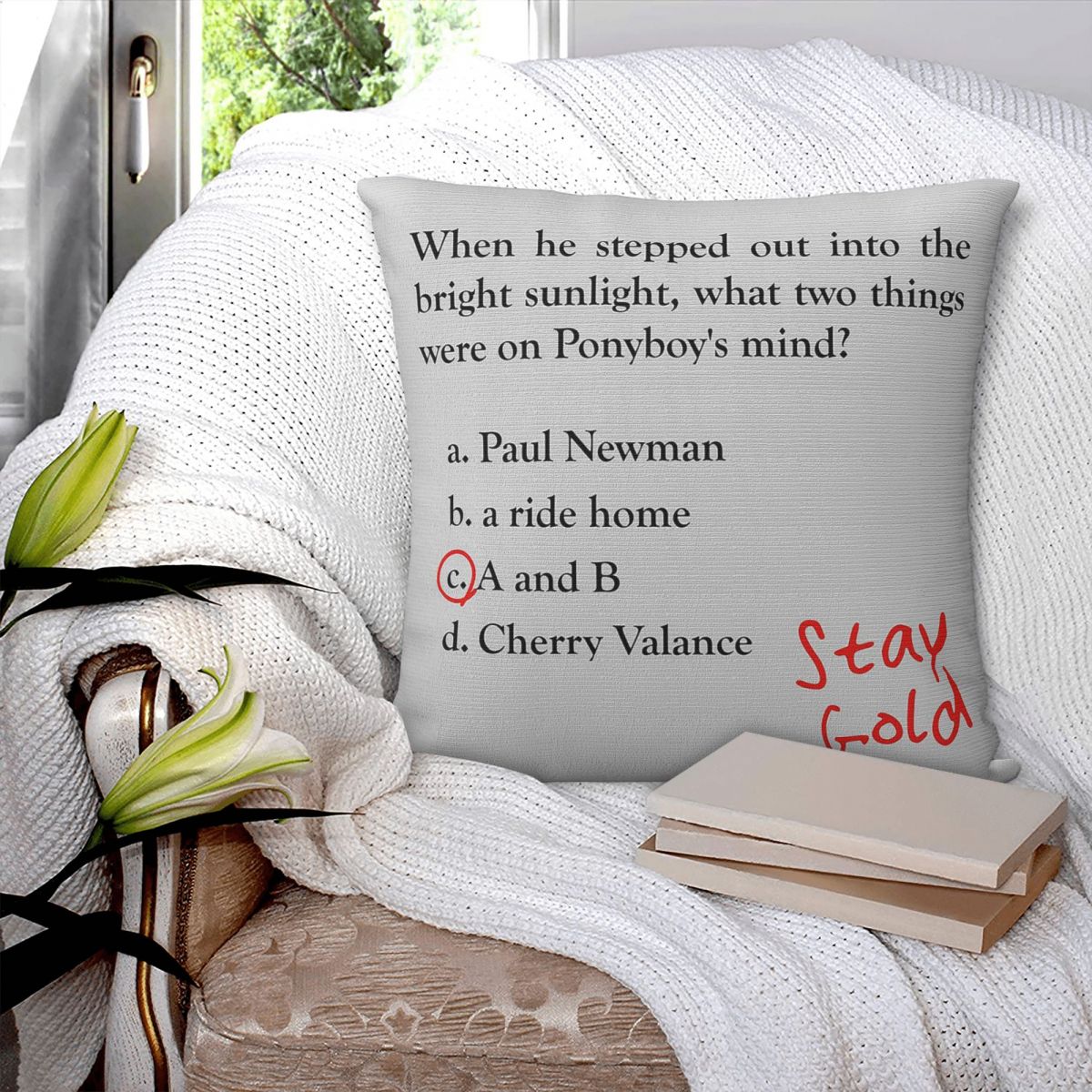 Outsiders Ponyboy Quiz Questio - Home Decor Quiz Free review and price