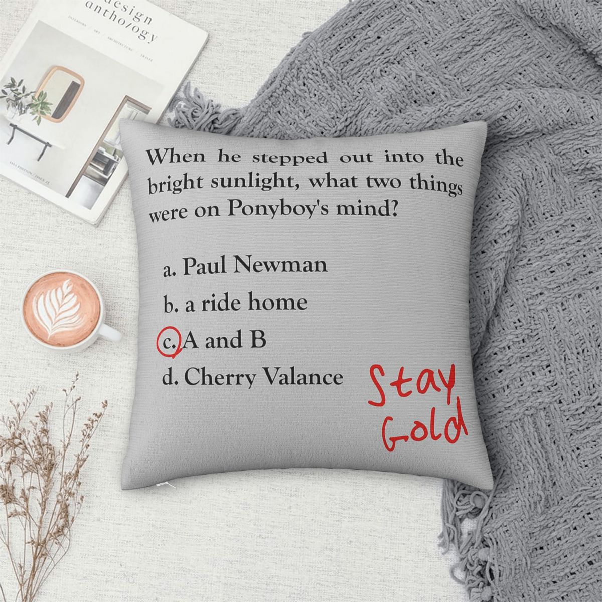 Outsiders Ponyboy Quiz Questio - Home Decor Quiz Free review and price