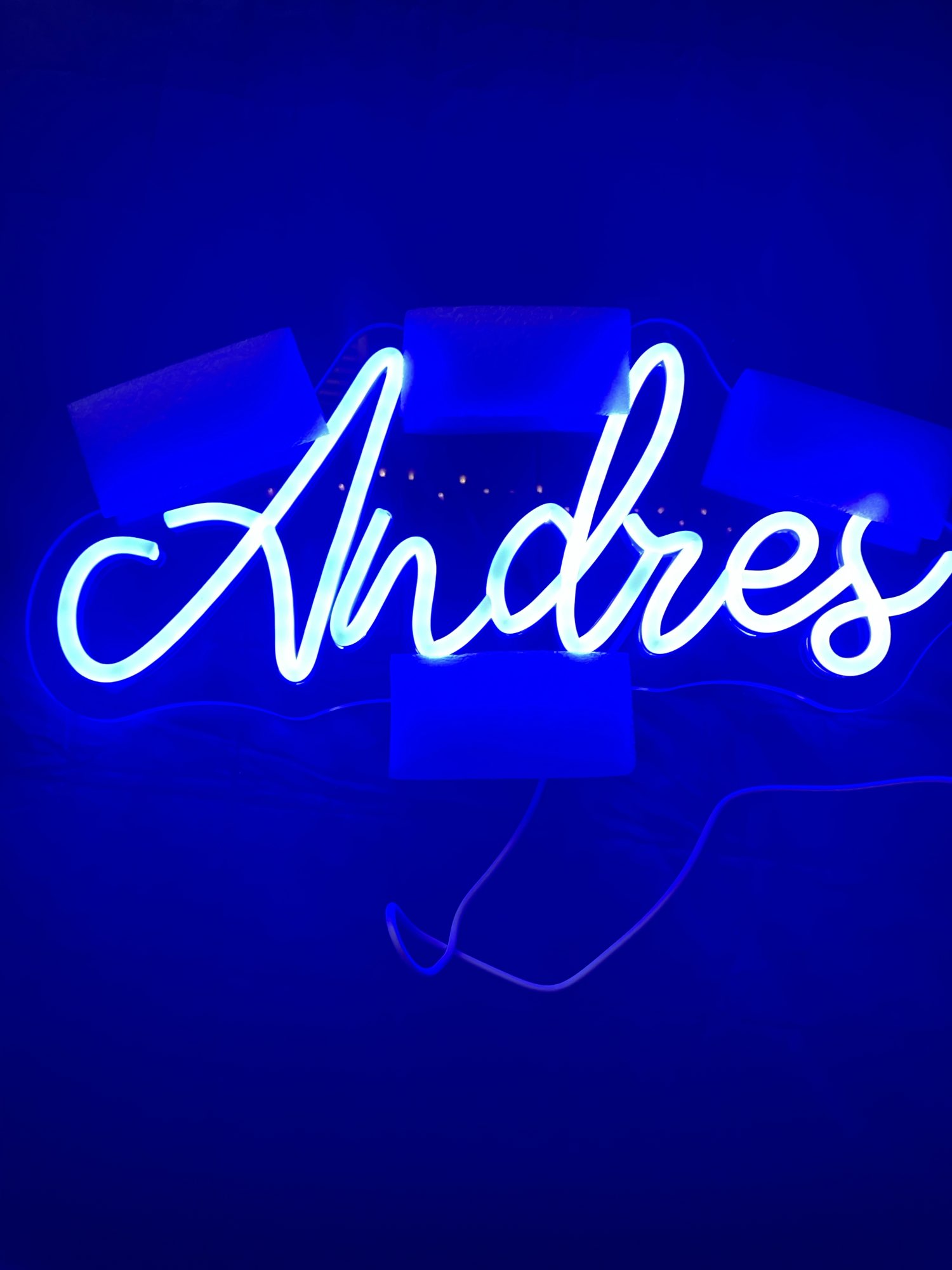 Custom Neon Sign Personalized  - Home Decor Logo Design review and price